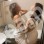 Мира